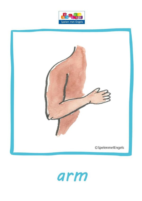 Themapakket My body - Afbeelding 16