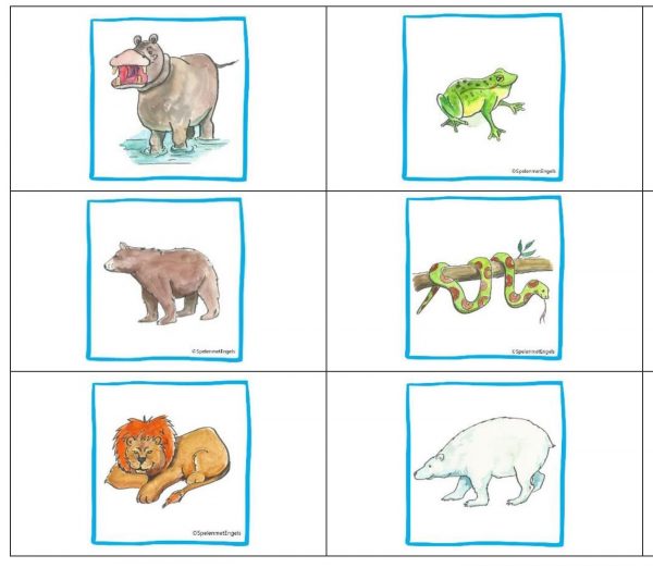 Bingo Wild animals (middenbouw)