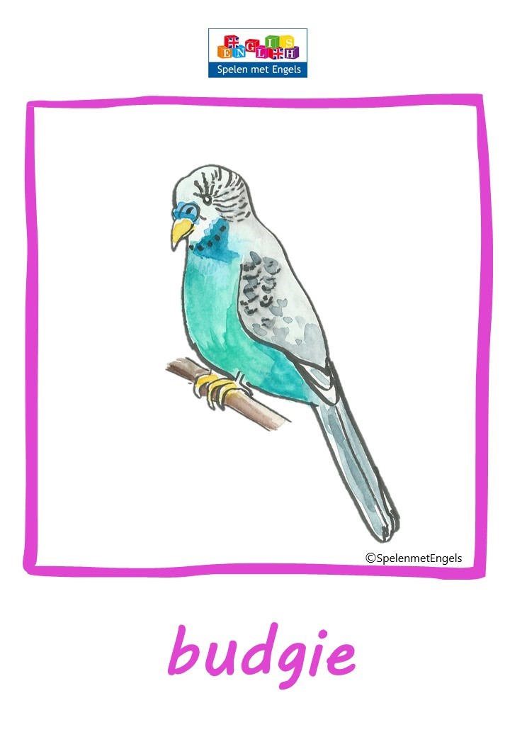 Themapakket Pets - Afbeelding 15