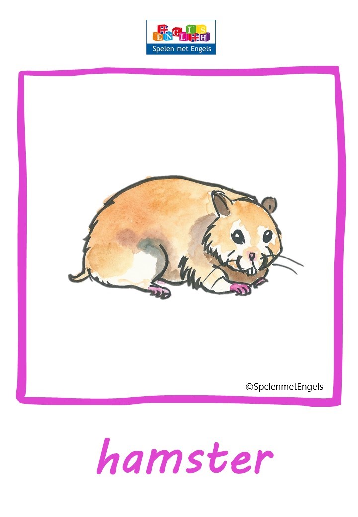 Themapakket Pets - Afbeelding 16