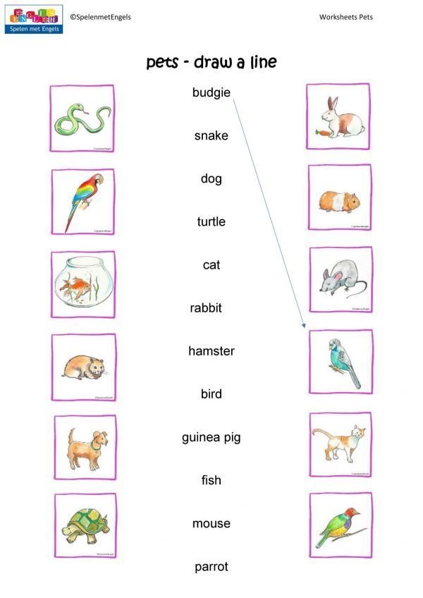 Worksheets Pets - Afbeelding 4