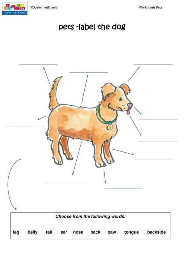 Worksheets Pets - Afbeelding 5