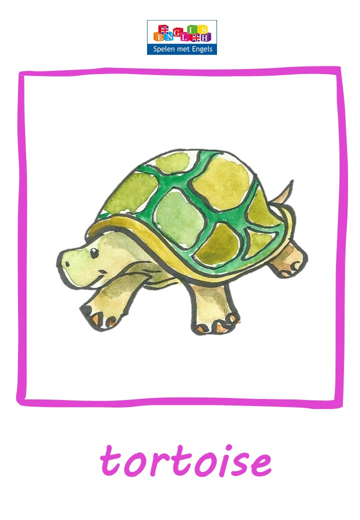 Themapakket Pets - Afbeelding 17