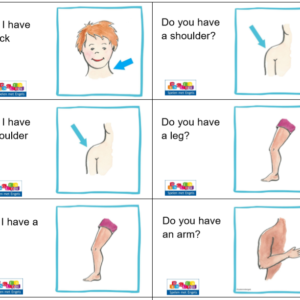 Reactiespel My body (onderbouw)