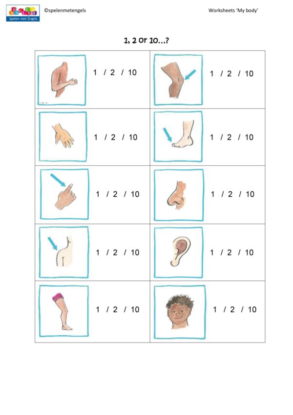 Themapakket My body - Afbeelding 15