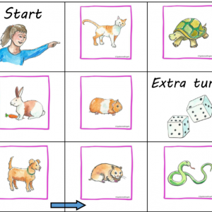 Bordspel Pets (midden- en bovenbouw)