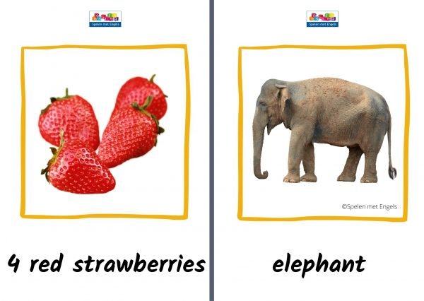 Flashcards Dinnerparty - Afbeelding 2