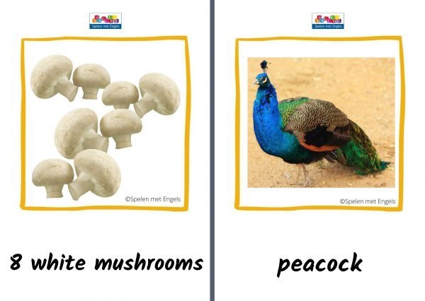 Flashcards Dinnerparty - Afbeelding 3