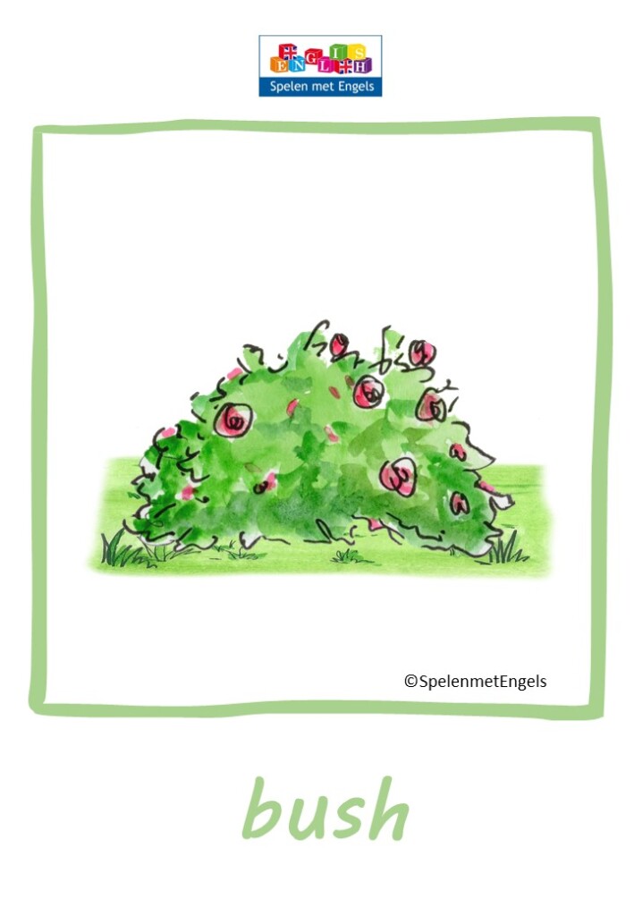 Flashcards Nature (middenbouw) - Afbeelding 2