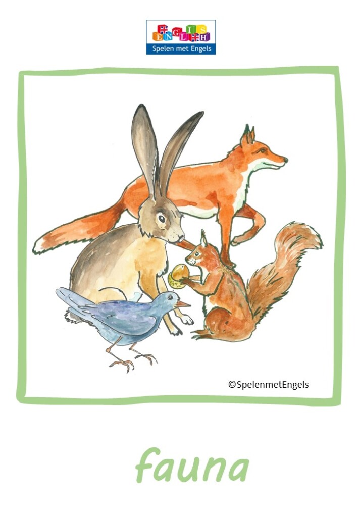 Flashcards Nature (middenbouw) - Afbeelding 6