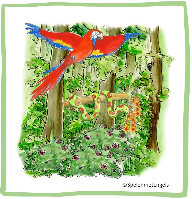 Flashcards Nature (middenbouw)