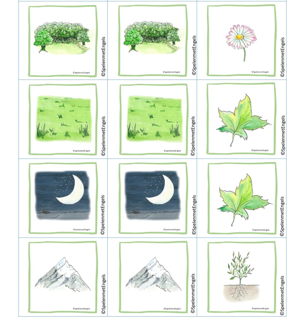 Themapakket Nature (onderbouw) - Afbeelding 6