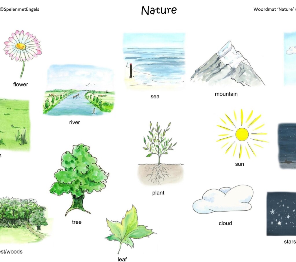 Woordmat Nature (onderbouw)