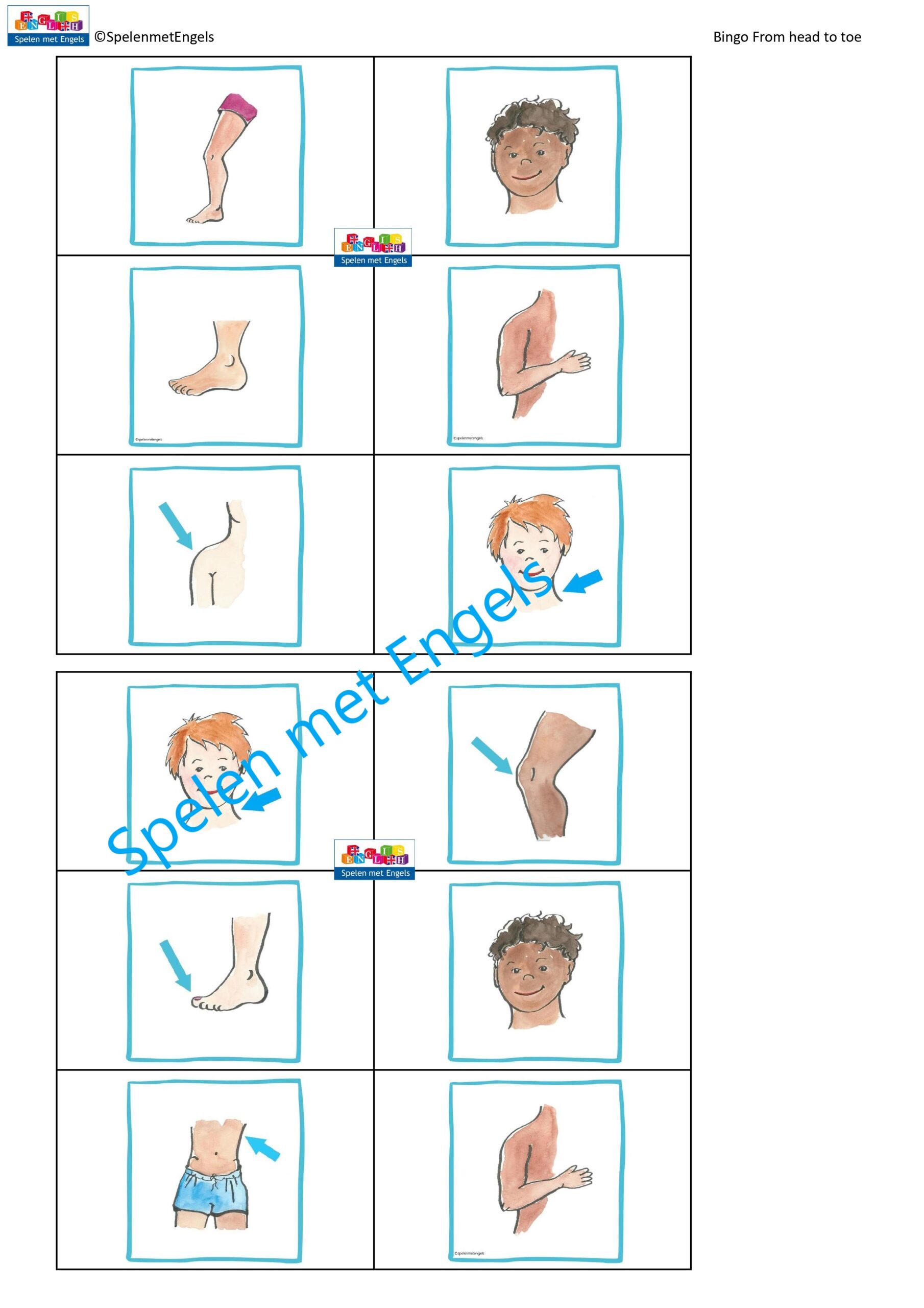 Bingo My body (From head to toe) - Afbeelding 3