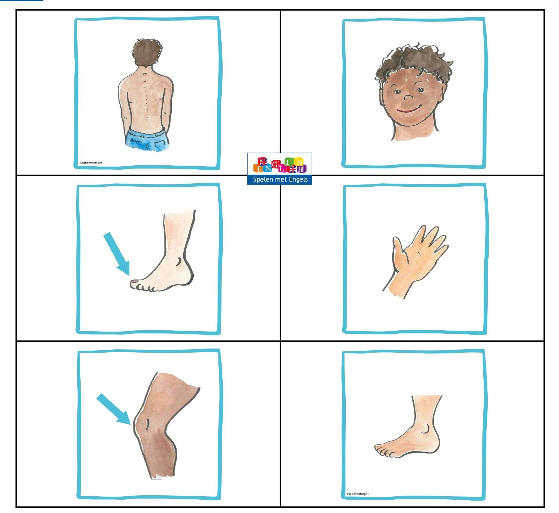 Bingo My body (From head to toe)