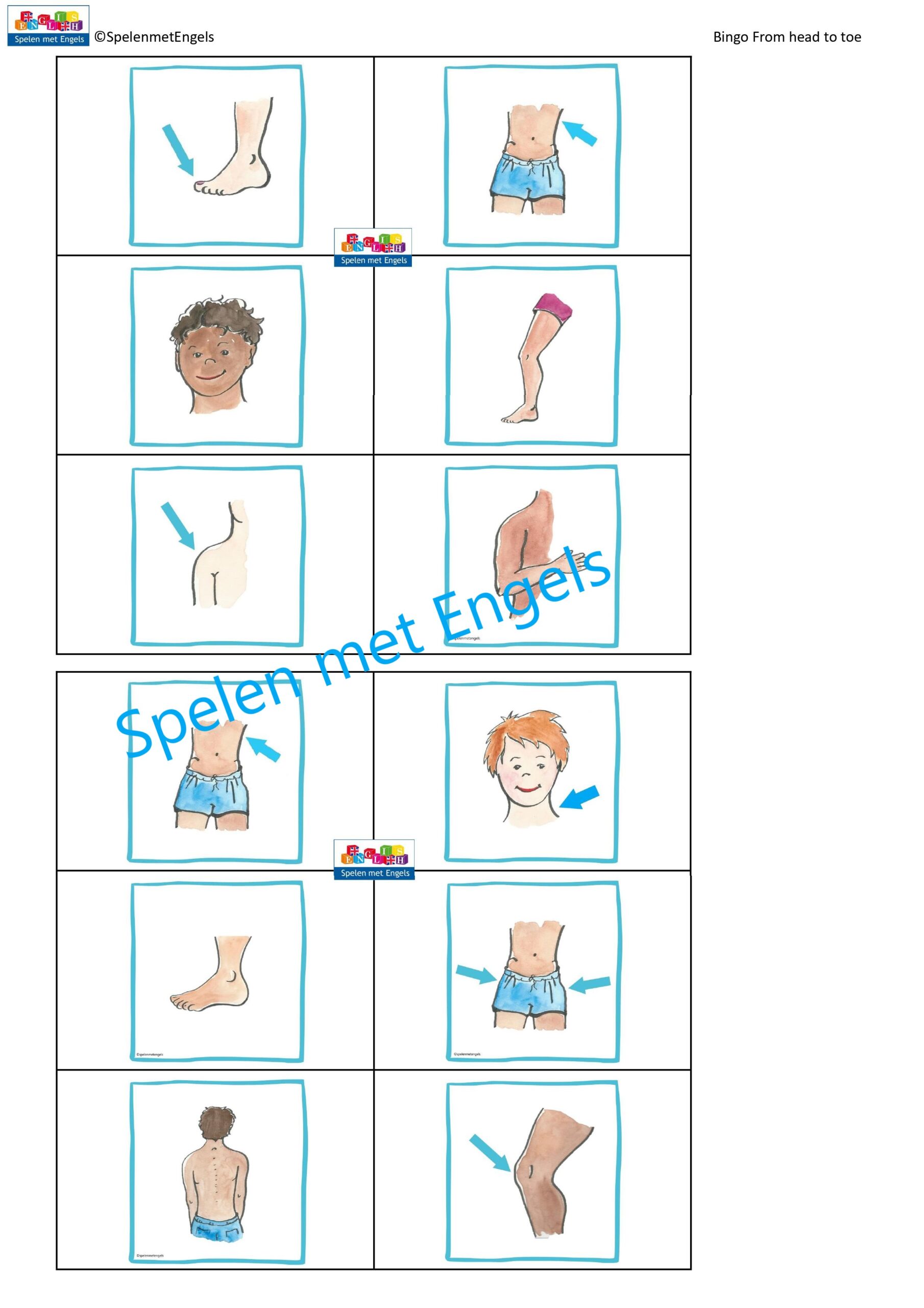 Bingo My body (From head to toe) - Afbeelding 2