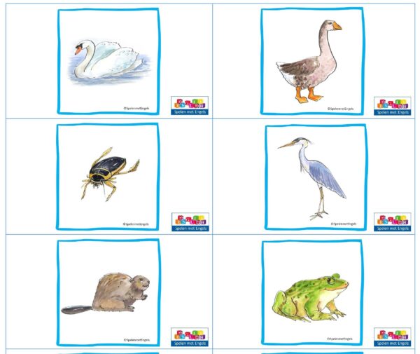 Domino Freshwater animals (onderbouw)