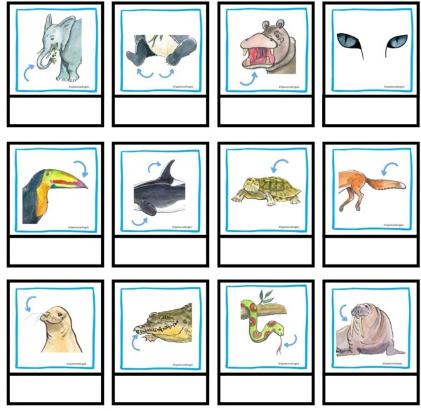 Worksheets Describing (wild) animals