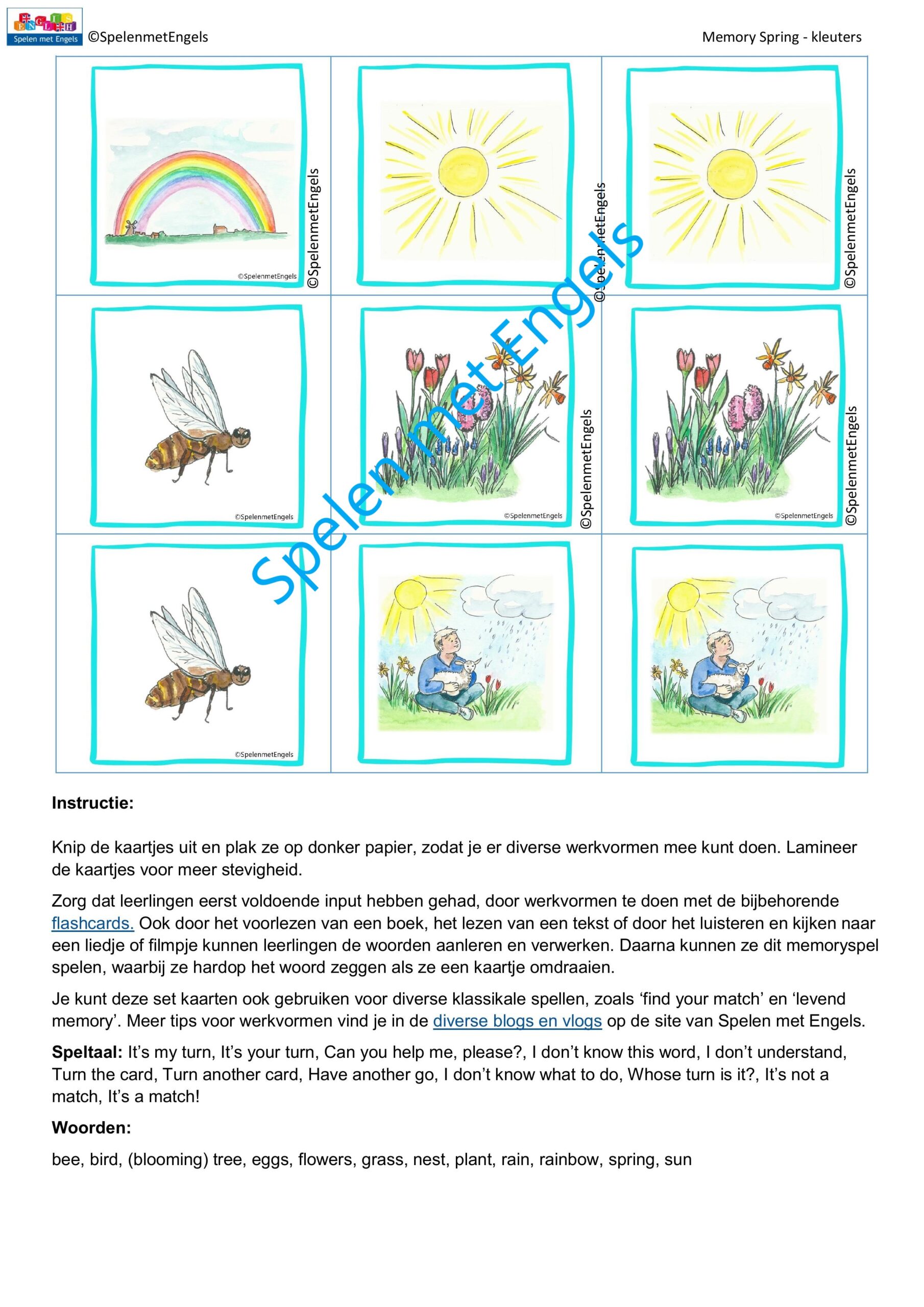 Memory Spring (kleuters) - Afbeelding 2