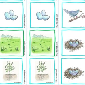 Memory Spring (kleuters)