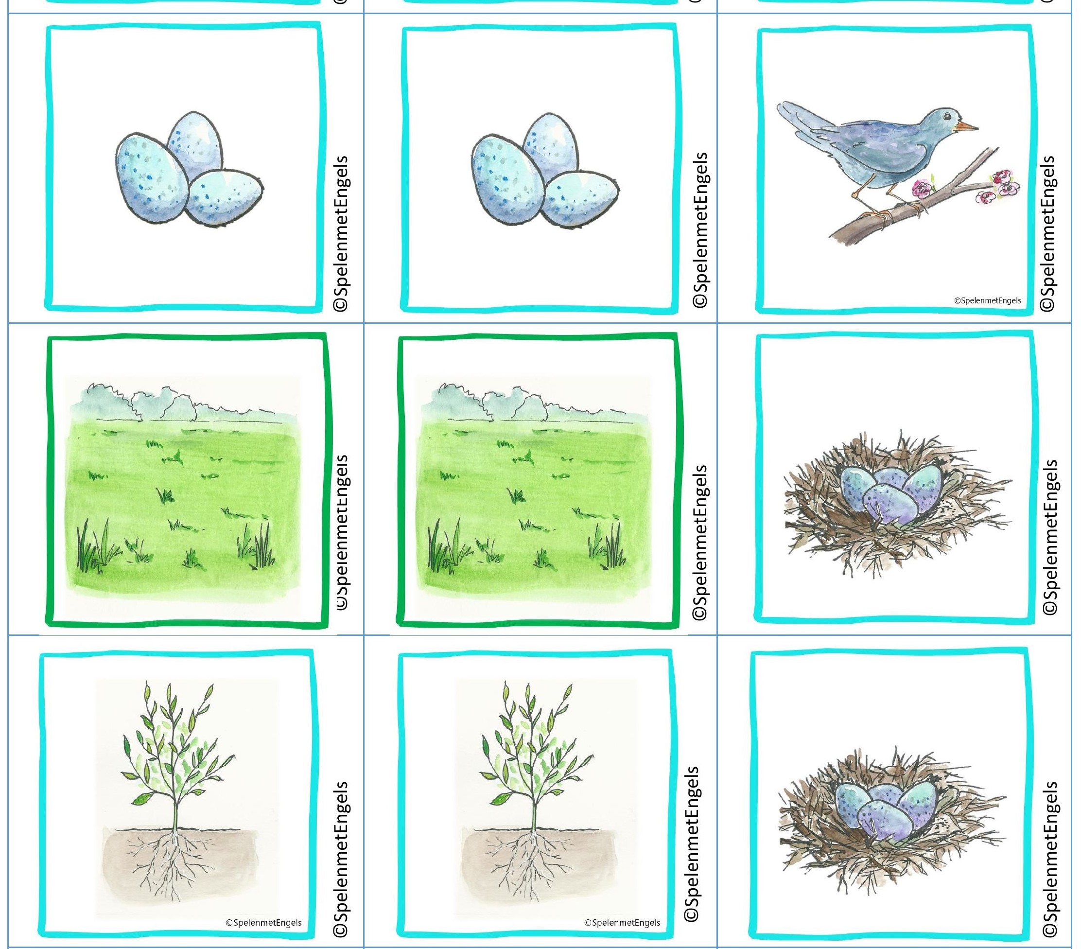 Memory Spring (kleuters)