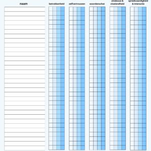 Beoordelingsformulier (rubric)