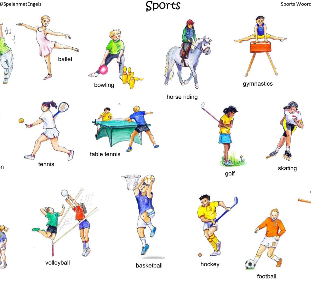 Themapakket Sports (middenbouw) - Afbeelding 6